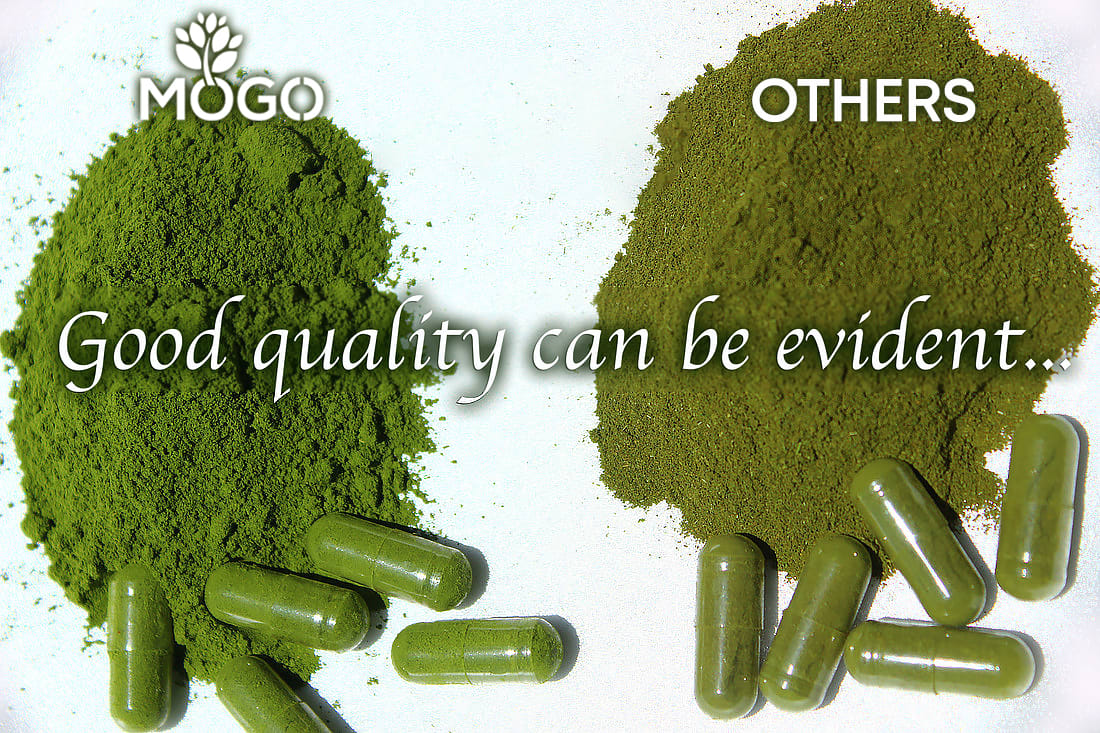 MOGO Organic Moringa Powder Capsules,180 Ct ⭐⭐⭐⭐⭐ #1 BEST SELLING MORINGA CAPSULE in USA