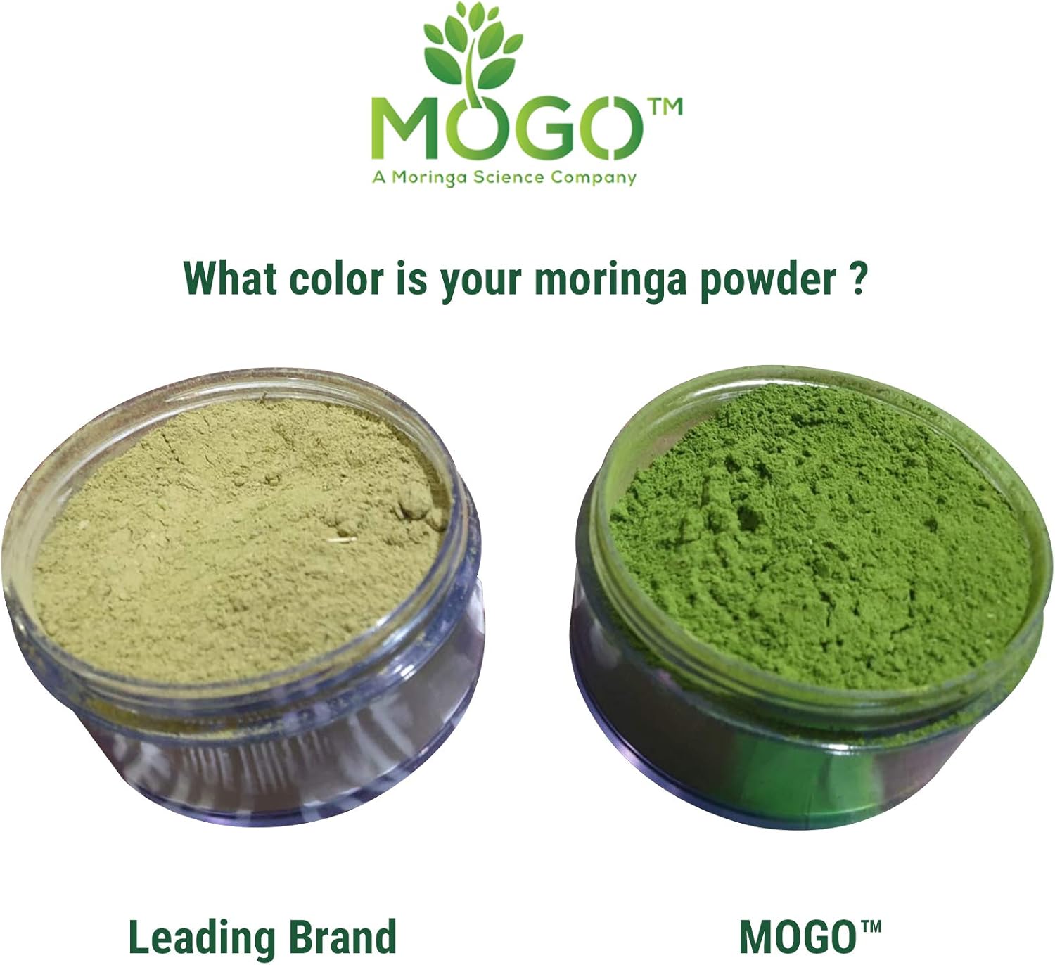 MOGO Organic Moringa Leaf Powder - ⭐⭐⭐⭐⭐ #1 BEST SELLING MORINGA POWDER in USA