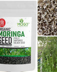 100+ Moringa Seeds