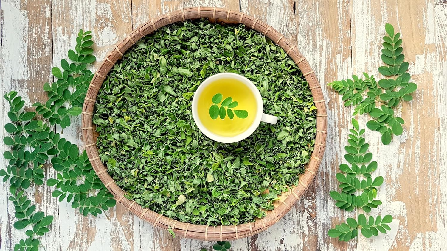 MOGO Organic Moringa Tea Bags - 50 Count