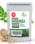 100+ Moringa Seeds